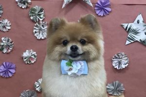 5月のお友達☆
