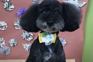 5月のお友達☆