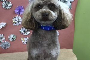 5月のお友達☆