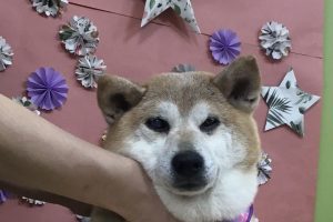 5月のお友達☆