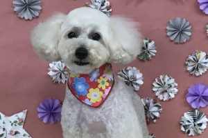 5月のお友達☆
