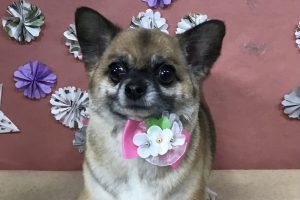 5月のお友達☆