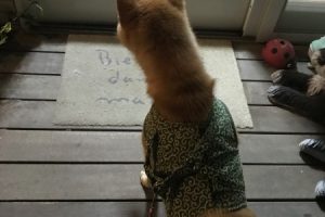 お泊り☆