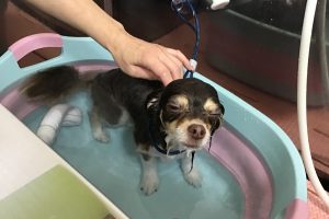 5月のお友達☆
