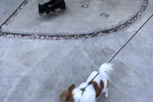 お泊まり☆