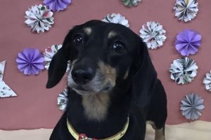5月のお友達☆