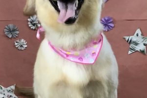 5月のお友達☆