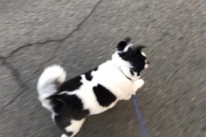 お泊まり☆