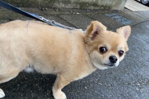 お泊り中☆