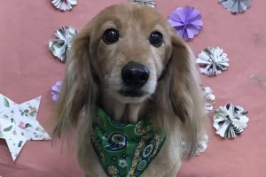 5月のお友達☆