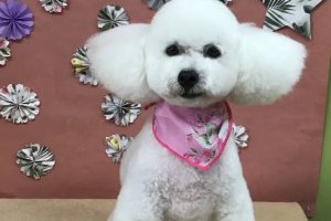 ５月のお友達☆
