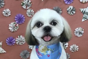 5月のお友達☆