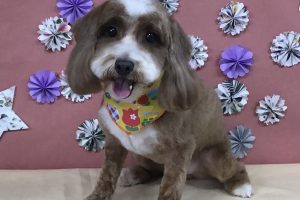 5月のお友達☆