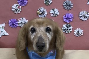 5月のお友達☆