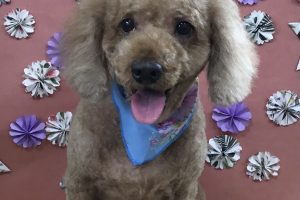 5月のお友達☆