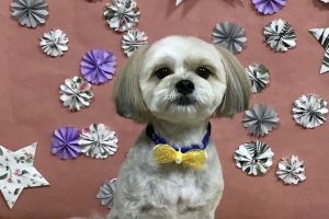 5月のお友達☆