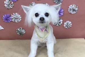 ５月のお友達☆