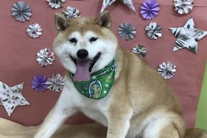 5月のお友達☆