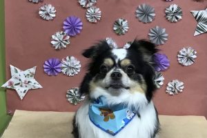 ５月のお友達☆