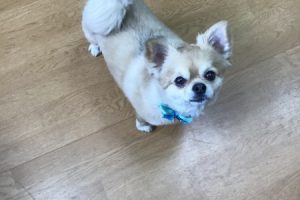 お泊まり中☆