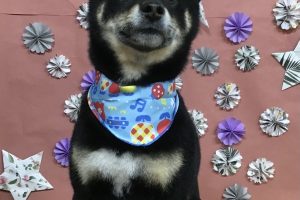 5月のお友達☆