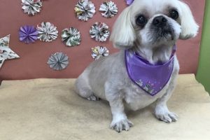 ５月のお友達☆