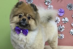 5月のお友達☆