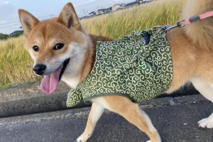 お泊まり中☆
