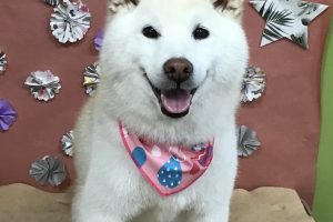 5月のお友達☆