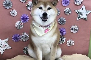 ５月のお友達☆