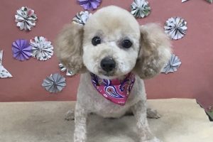 ５月のお友達☆