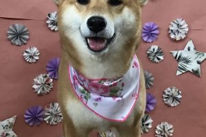 5月のお友達☆