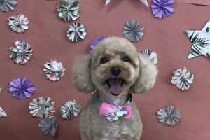 5月のお友達☆