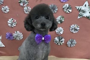 ５月のお友達☆