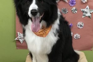 5月のお友達☆