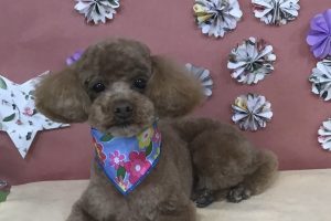 5月のお友達☆