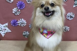 5月のお友達☆