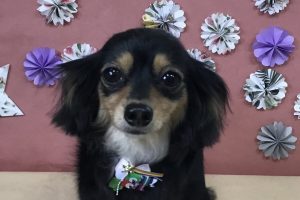 5月のお友達☆