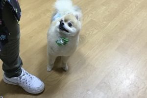 お泊まり☆