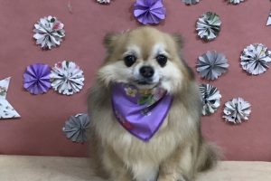 5月のお友達☆