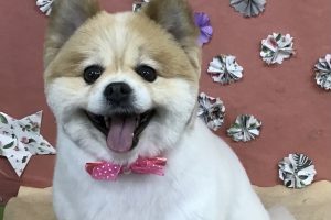 5月のお友達☆