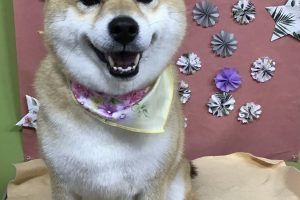 ５月のお友達☆