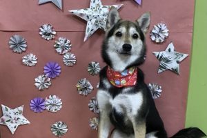 ５月のお友達☆
