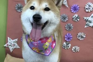 ５月のお友達☆