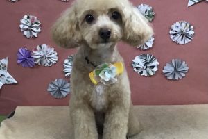 ５月のお友達☆