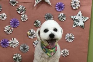 5月のお友達☆