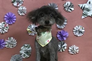 5月のお友達☆