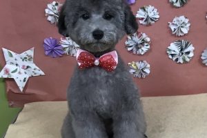 ５月のお友達☆