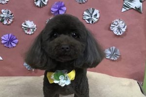 5月のお友達☆