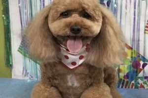 6月のお友達☆